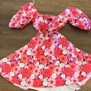 Hello Molly Pink and Red Floral Woman’s Dress
